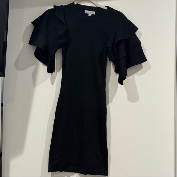 Settledown Dresses & Skirts - Stylish Black Ruffle Sleeve Dress